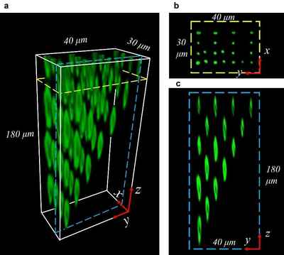 西電物理學(xué)院王軍利教授團(tuán)隊(duì)在國際頂級(jí)期刊發(fā)表新型元件與器件研發(fā)突破性成果